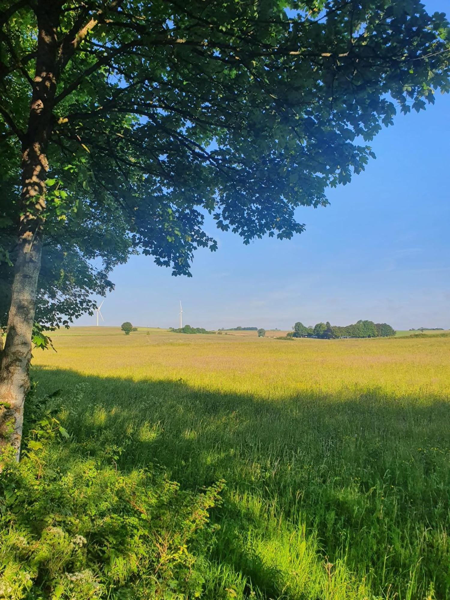 Schoene Aussicht Nettersheim Экстерьер фото